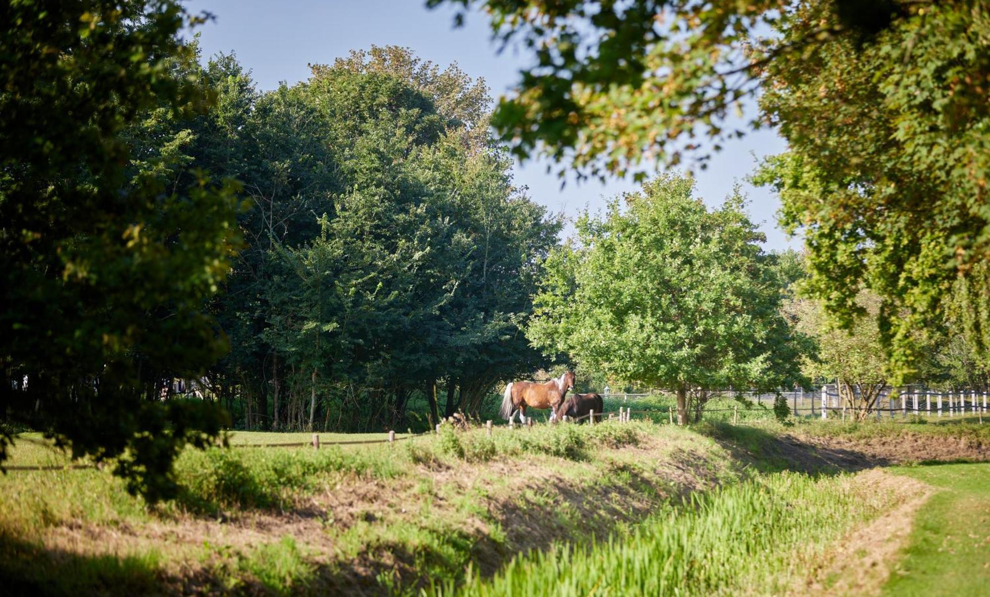 Romantik Badhotel Renesse Luaran gambar